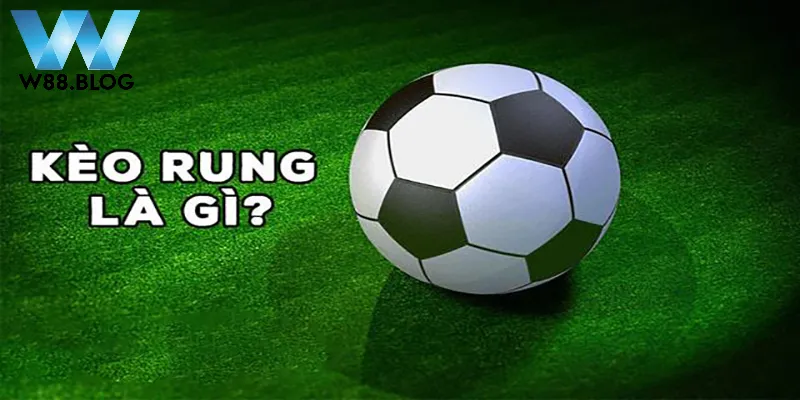 Tổng quan về kèo cược rung là gì?